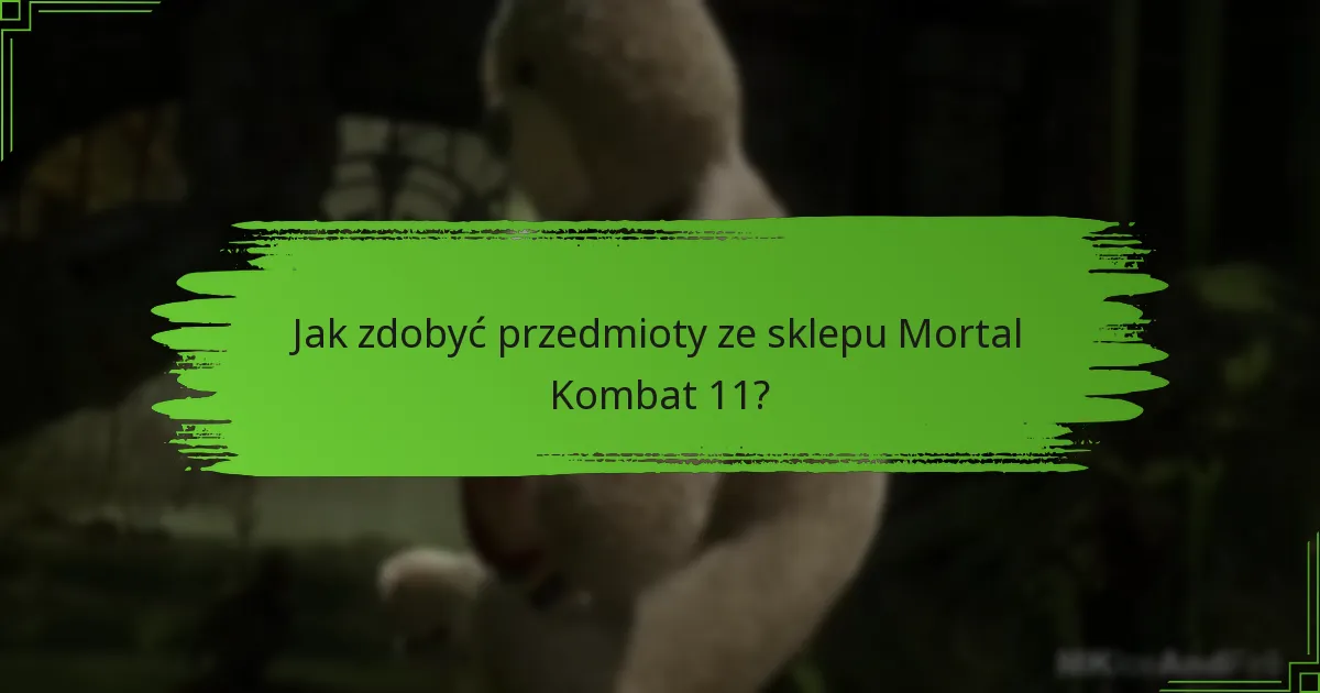 Jakie przedmioty są obecnie dostępne w sklepie Mortal Kombat 11?